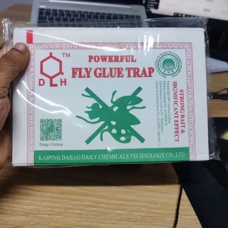 Dahao Powerful Fly Glue Trap (10 Pices)